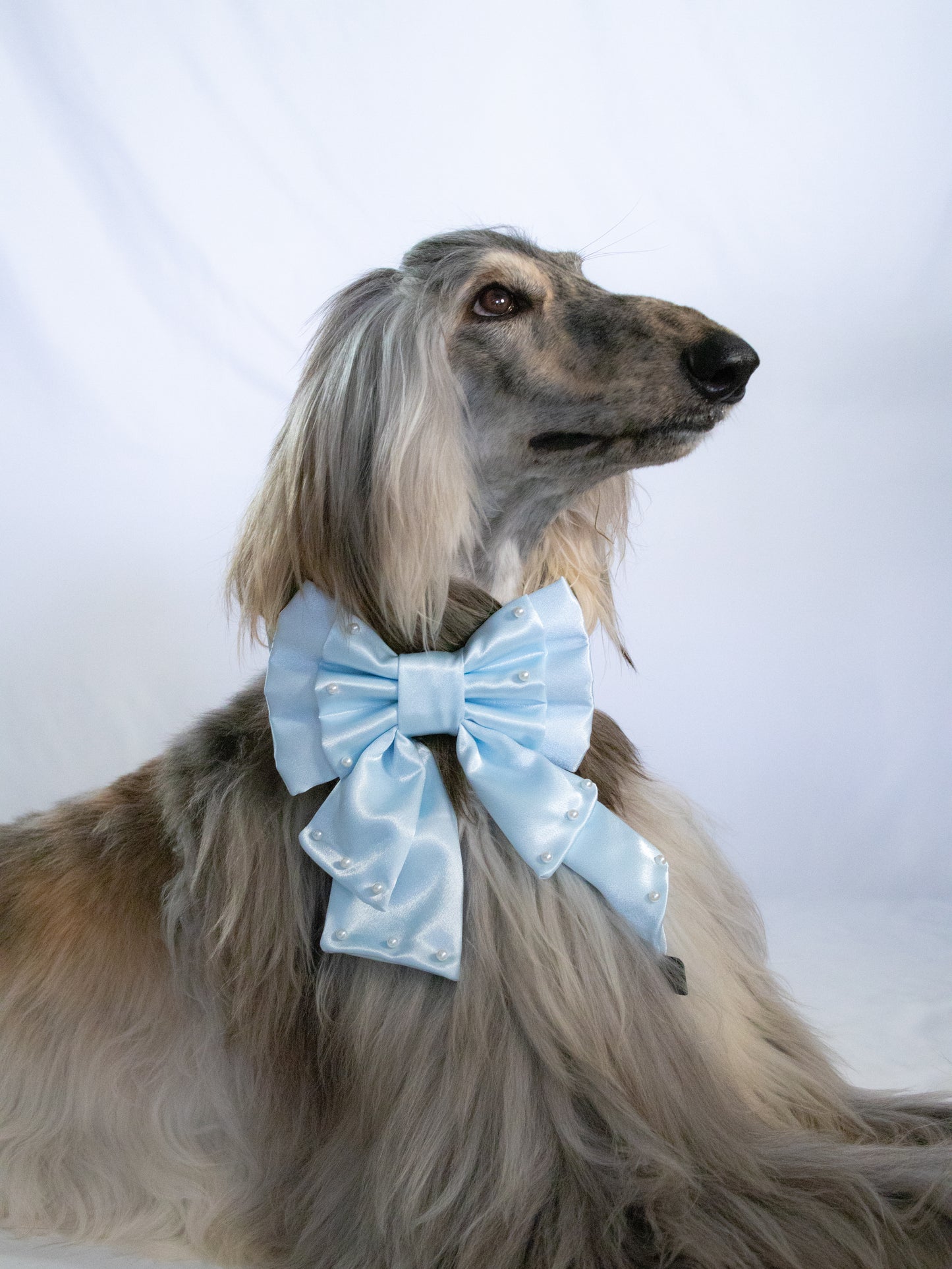 Boy Doguette Sailor Bow