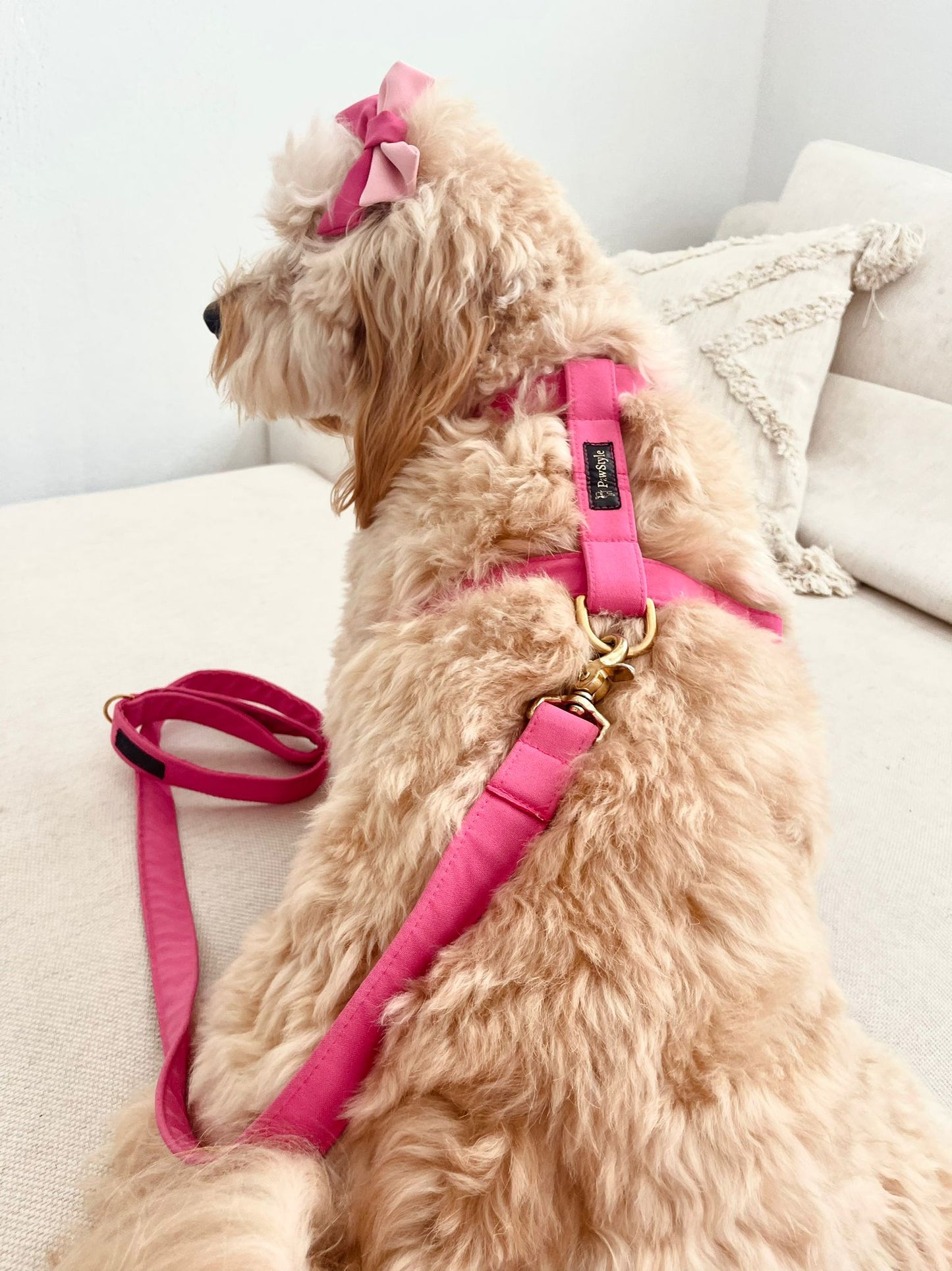 Fuchsia Harness, Leash and Sailor Bow