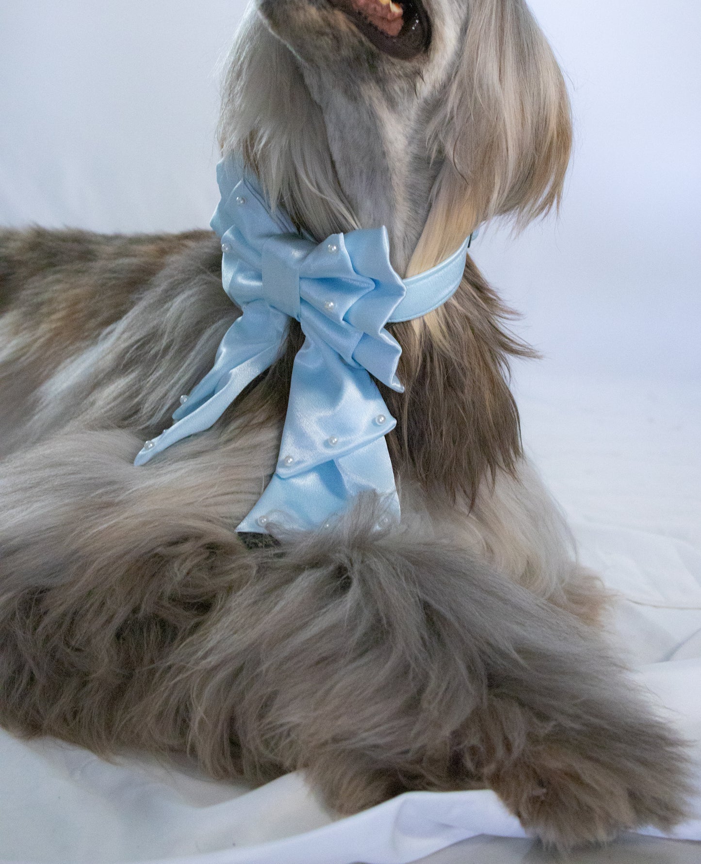 Boy Doguette Sailor Bow