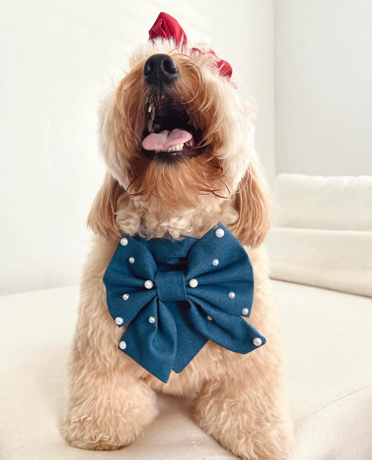 Jean Bandana with Bow