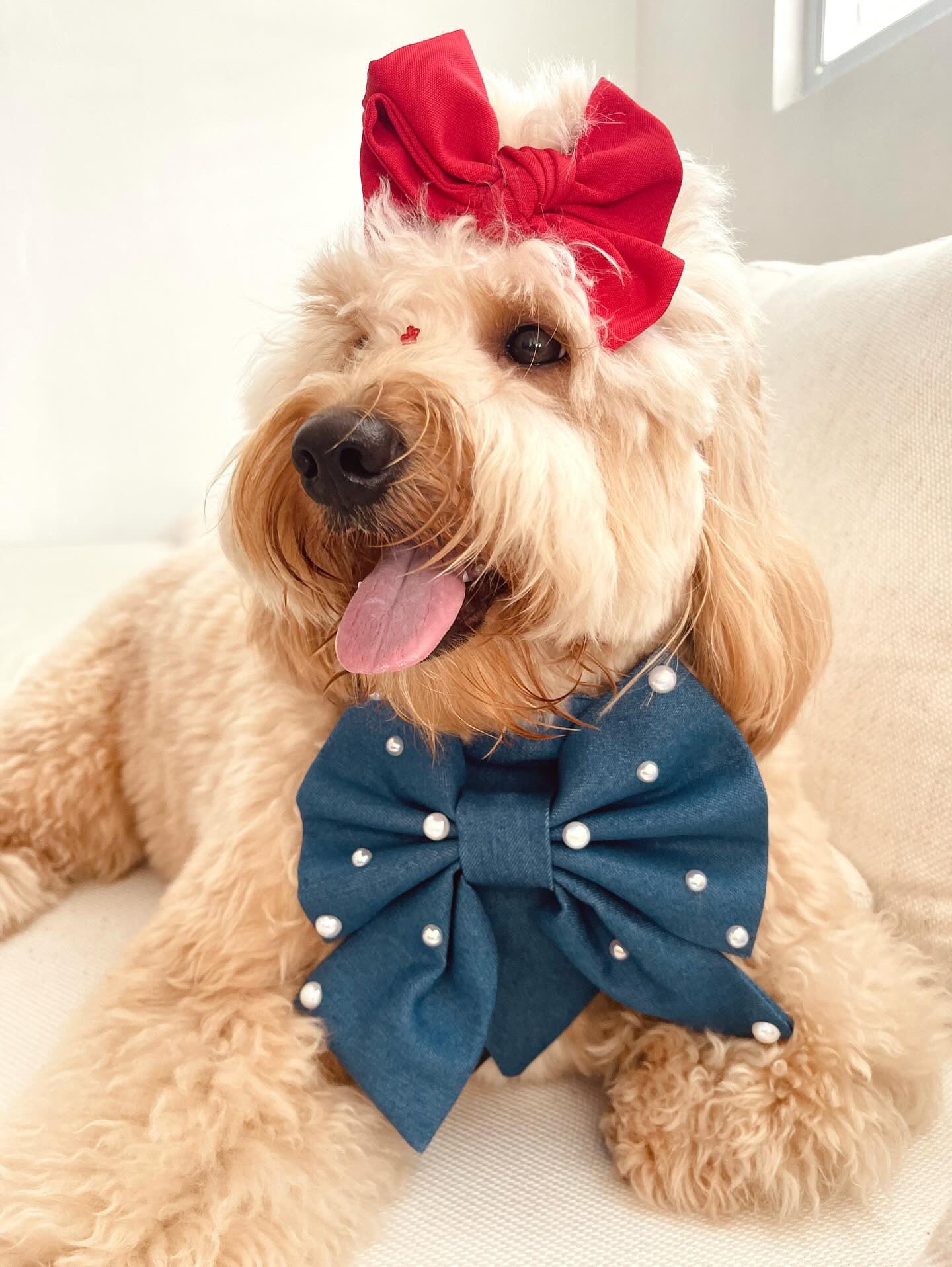 Jean Bandana with Bow