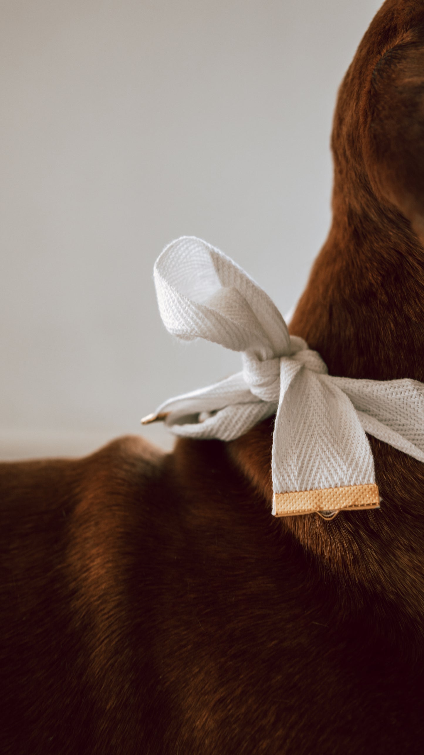 Santorini Bandana