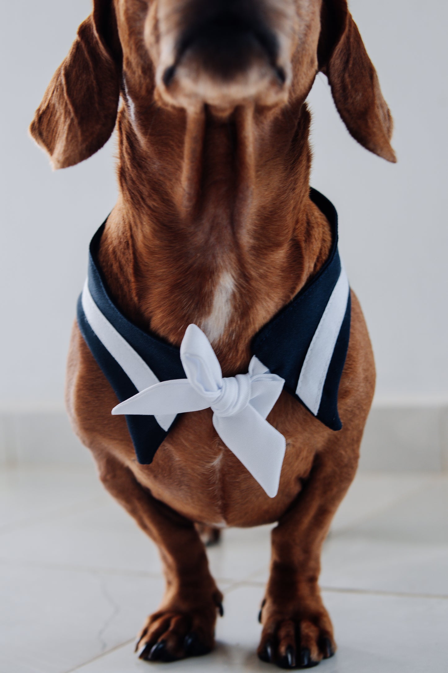 Sailor Bandana Blue