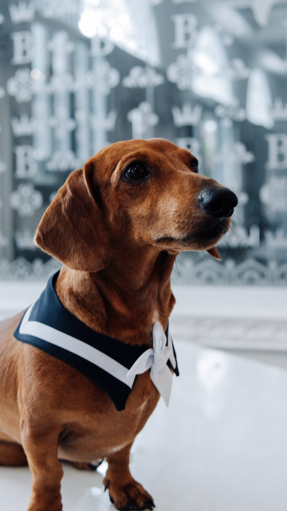 Sailor Bandana Blue