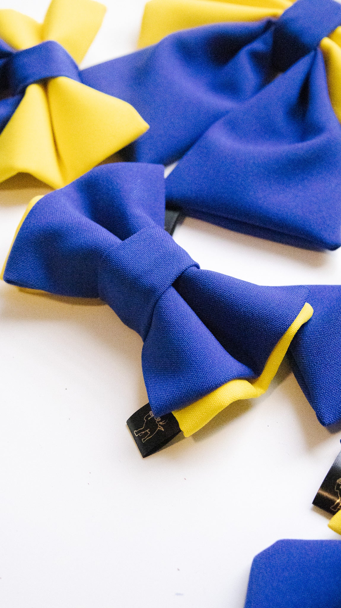 Yellow and Royal Blue bowtie