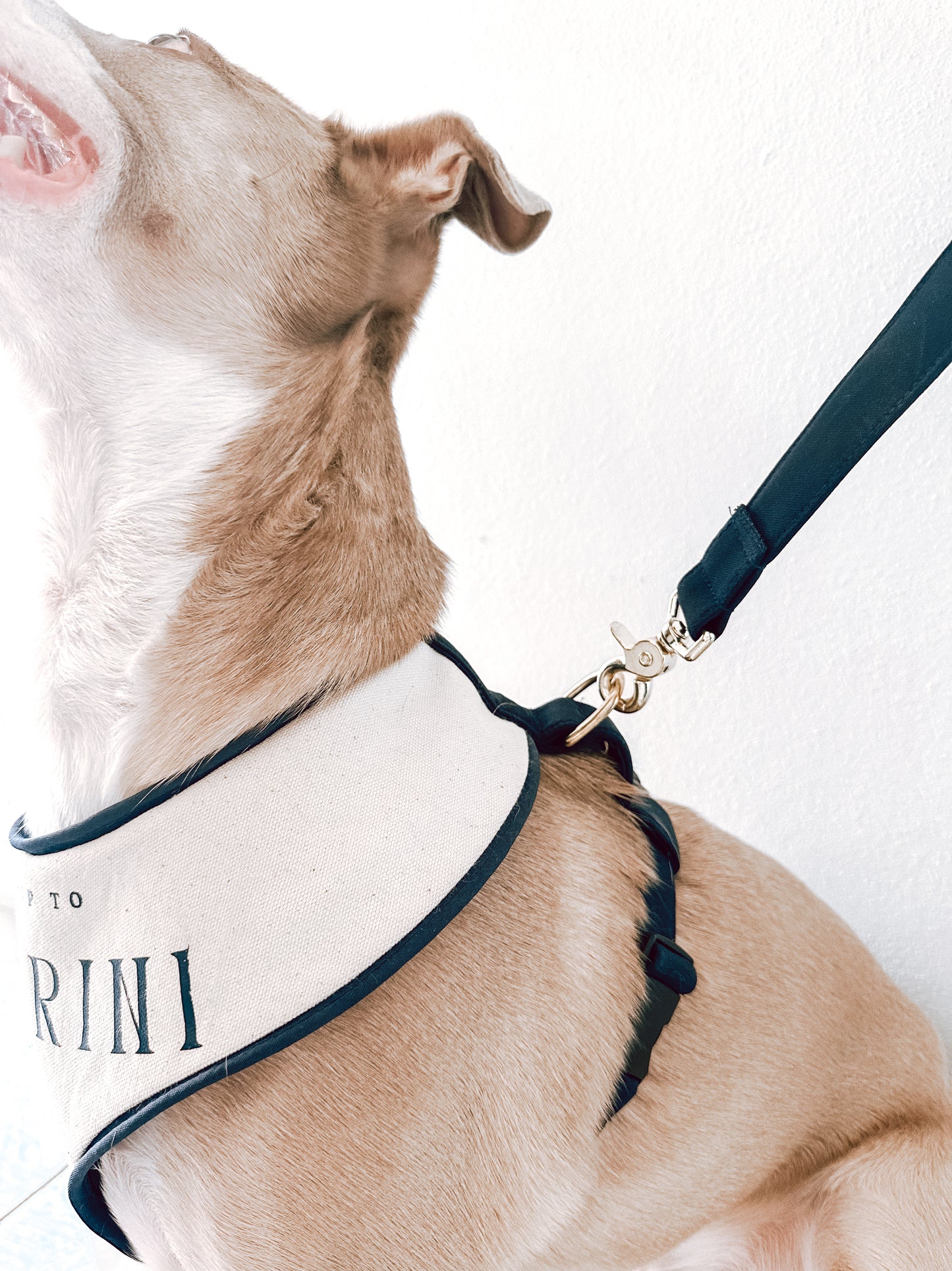 Santorini Harness