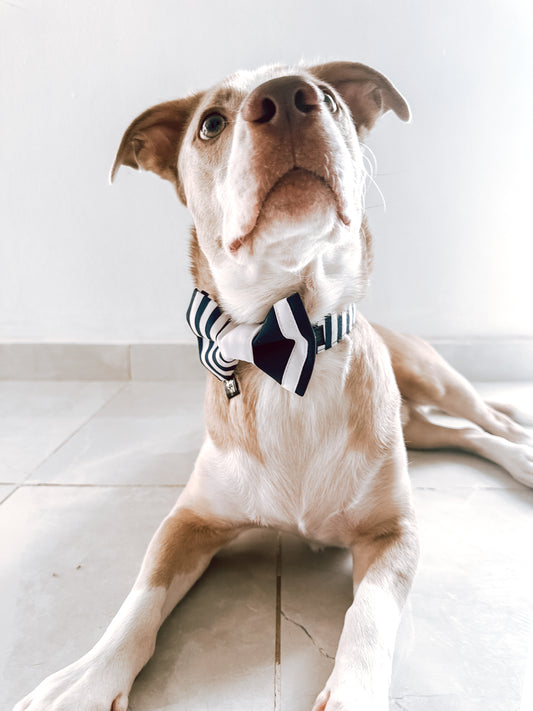 Navy Blue Lines Bowtie