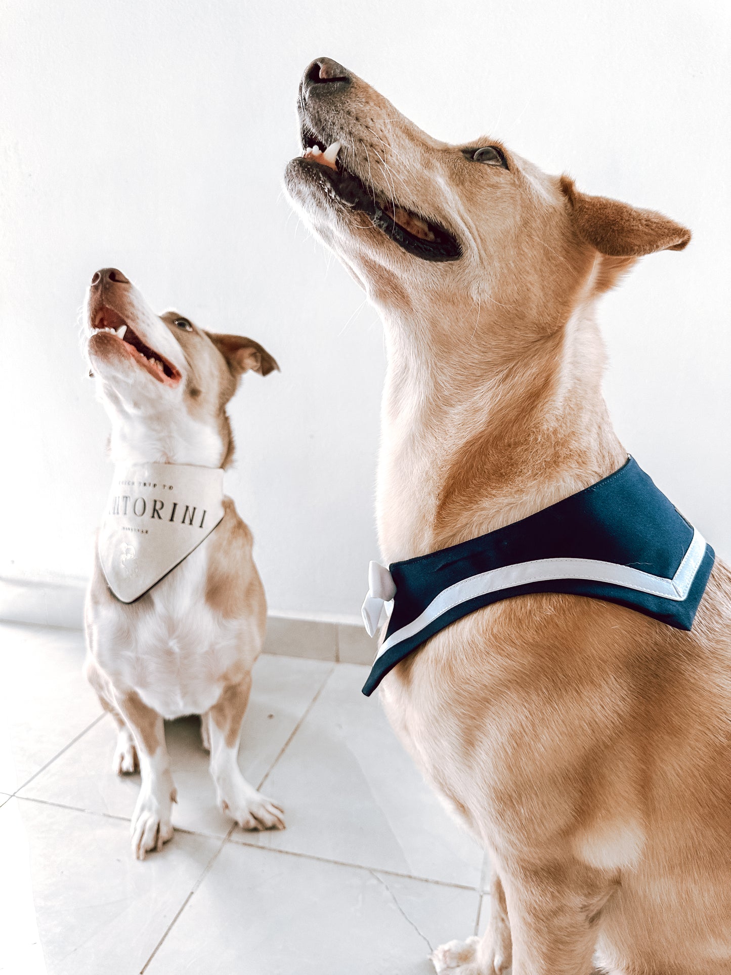 Sailor Bandana Blue