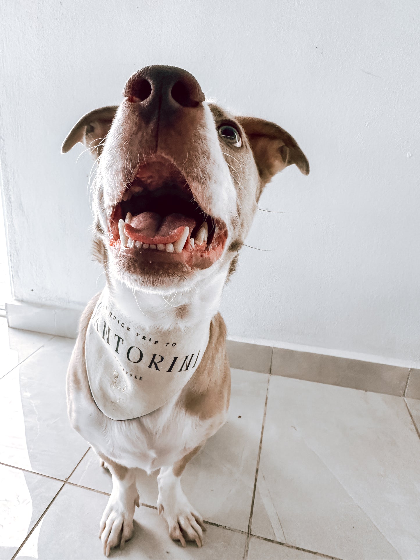 Santorini Bandana