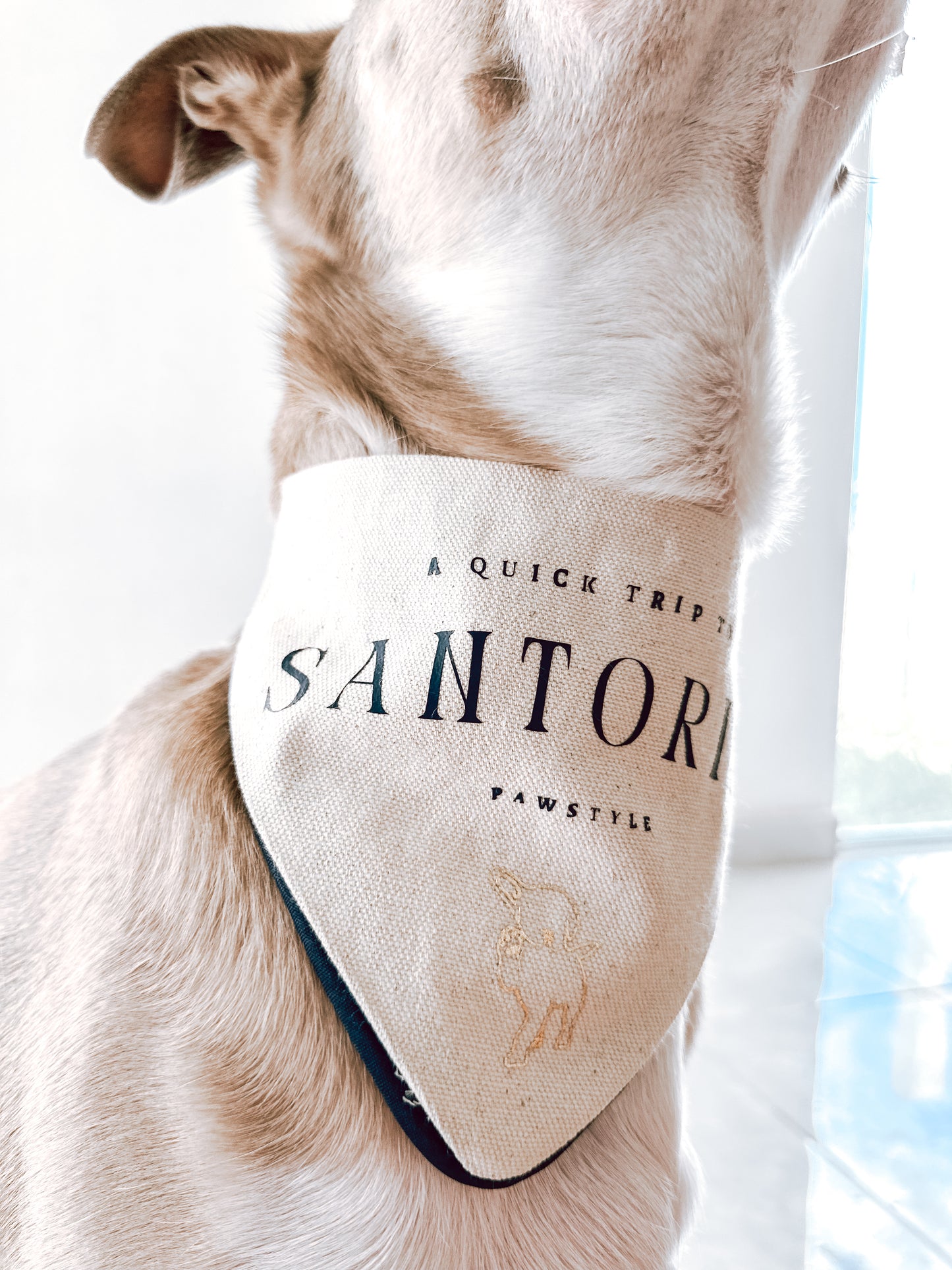 Santorini Bandana