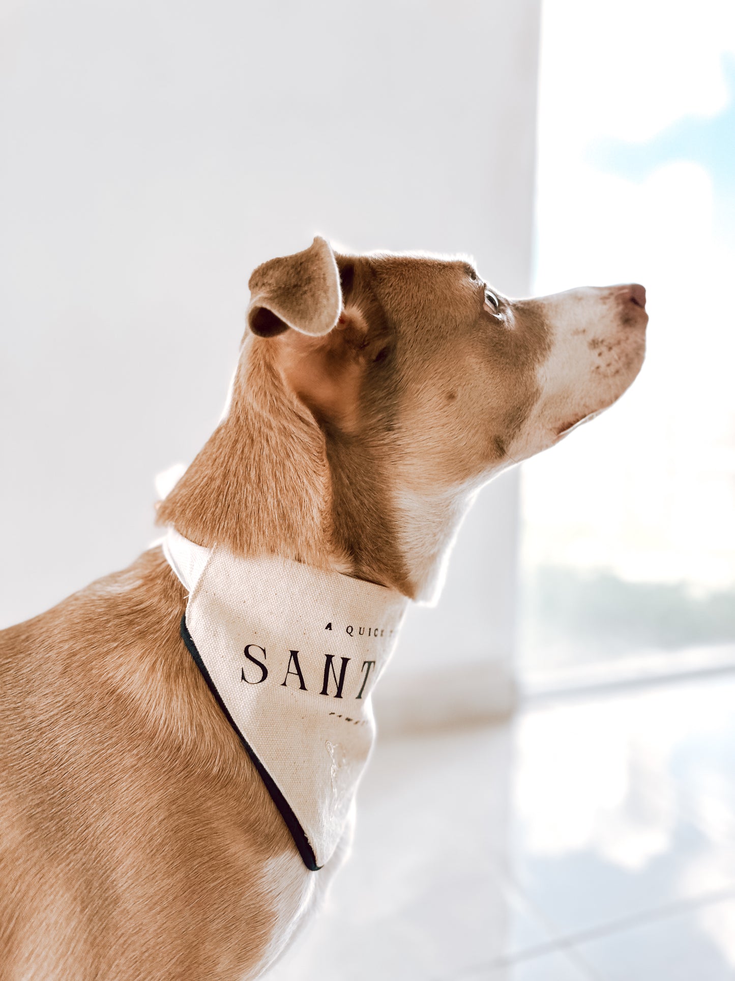 Santorini Bandana