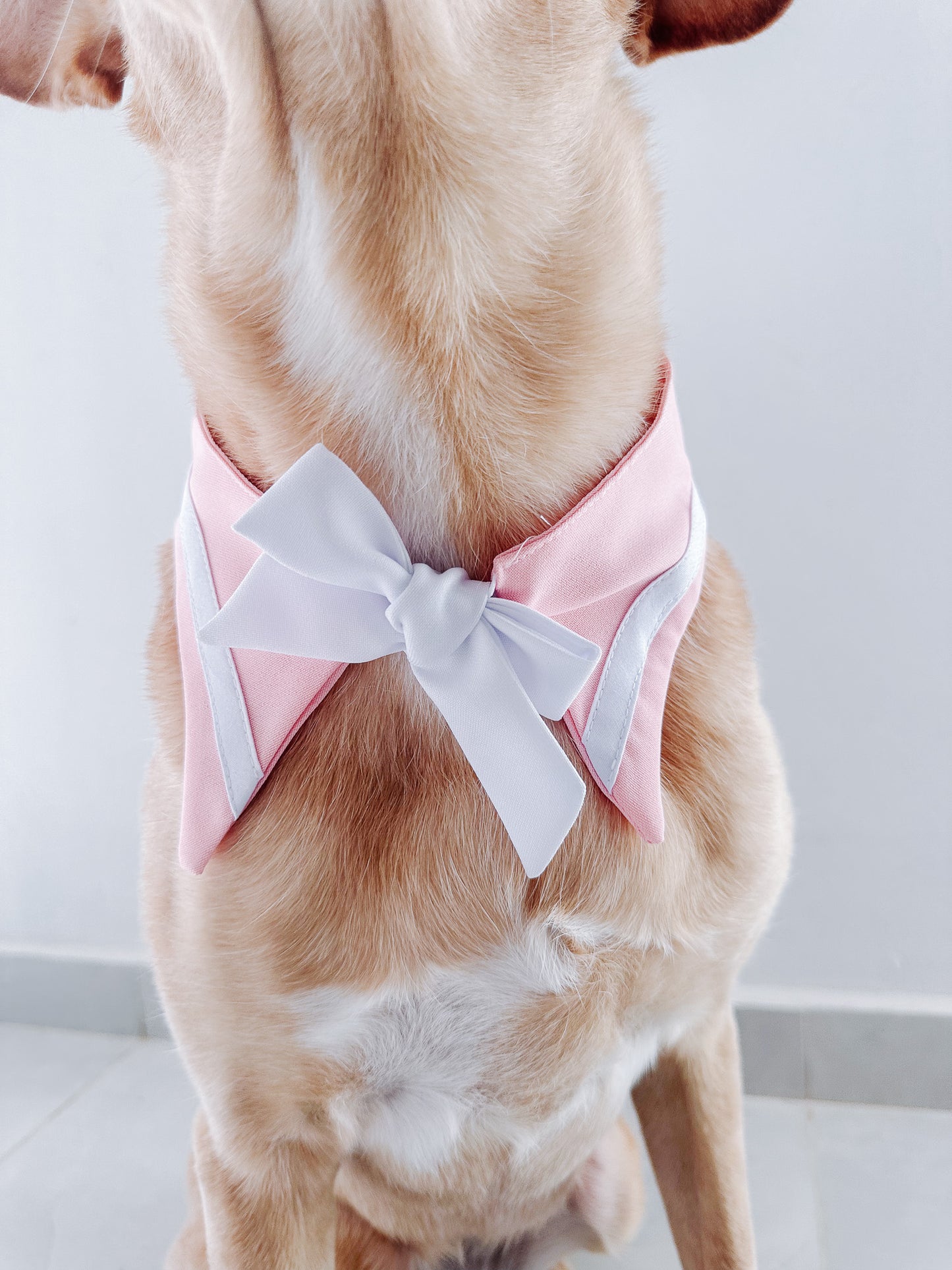 Sailor Bandana Pink