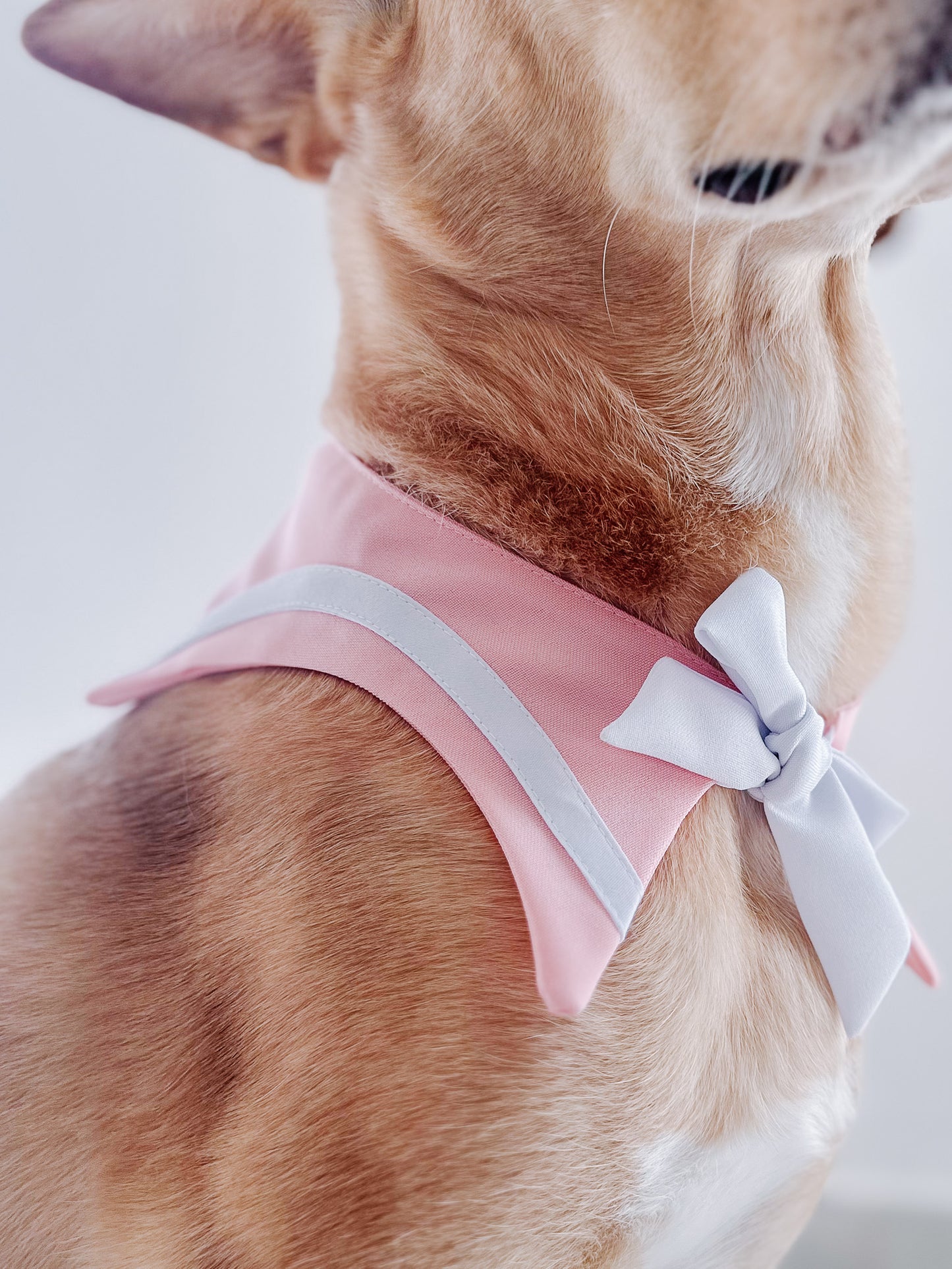 Sailor Bandana Pink