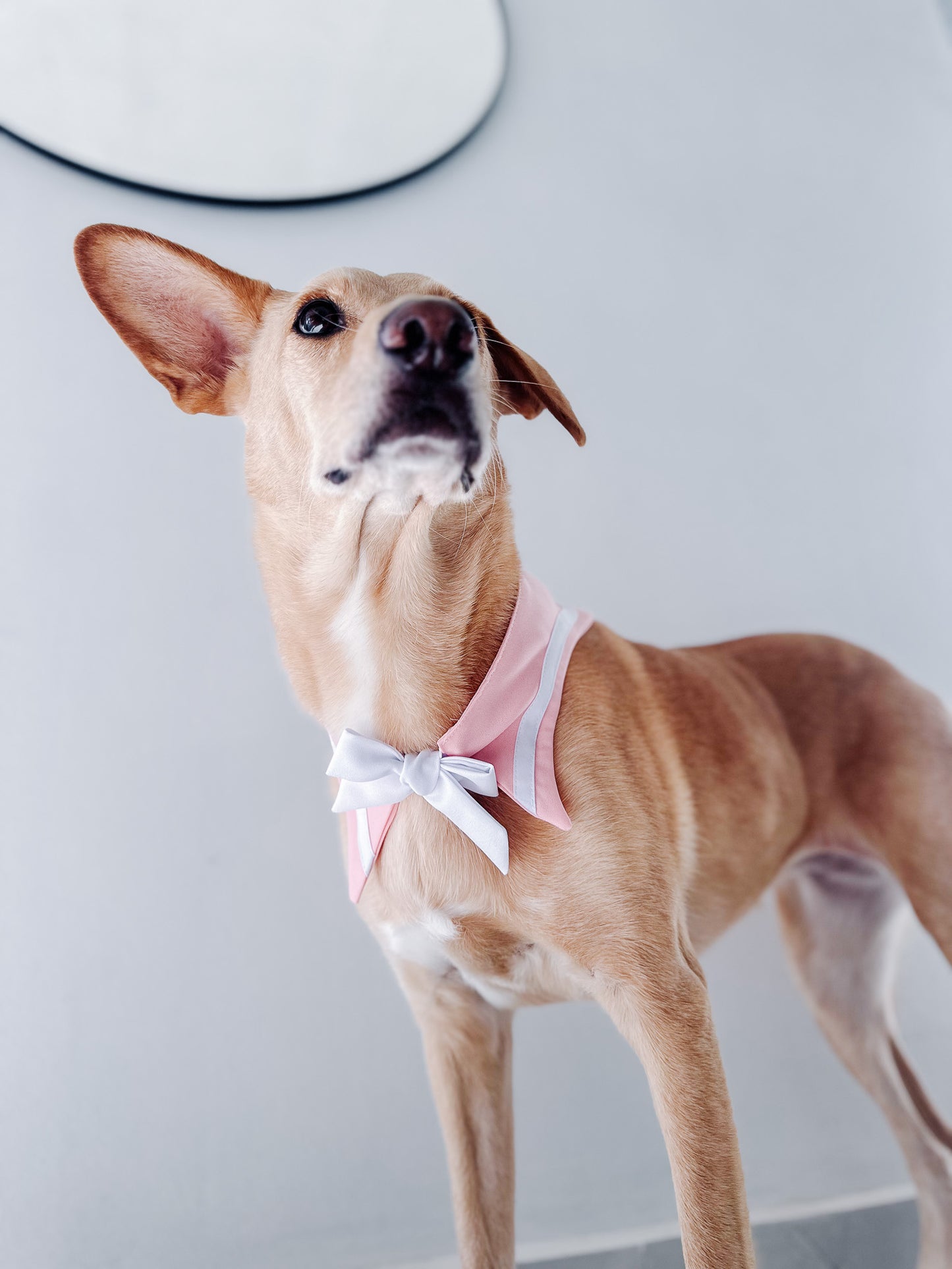 Sailor Bandana Pink