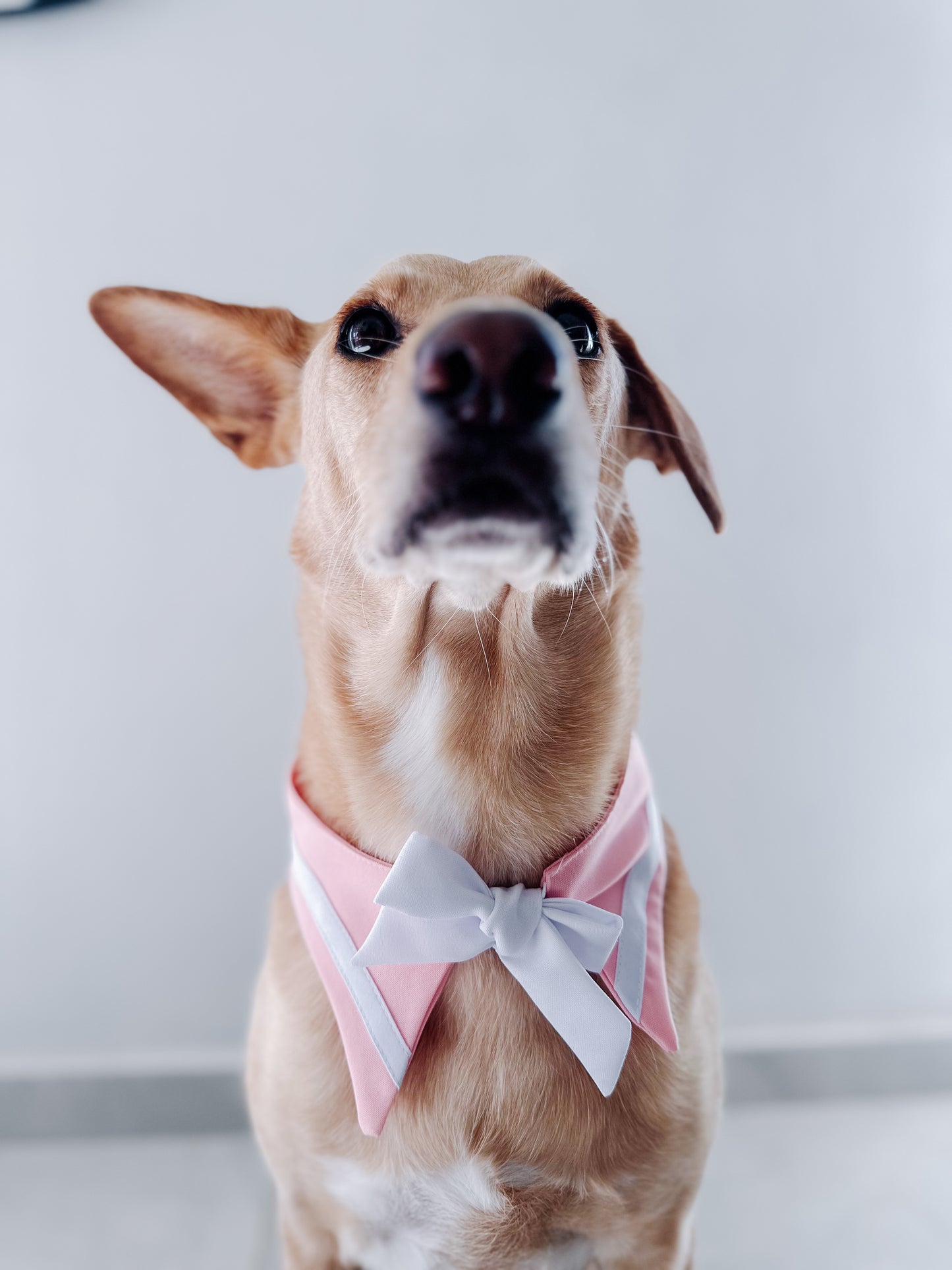 Sailor Bandana Pink