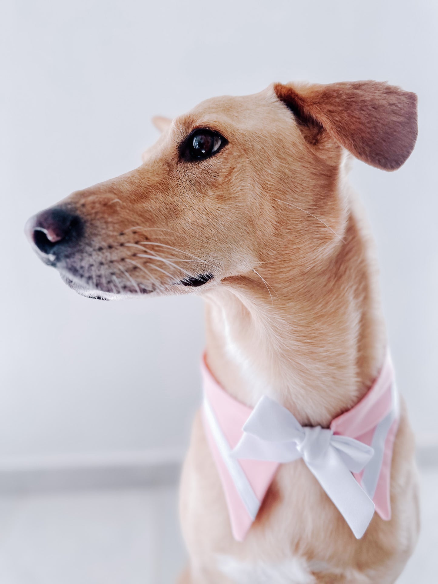 Sailor Bandana Pink