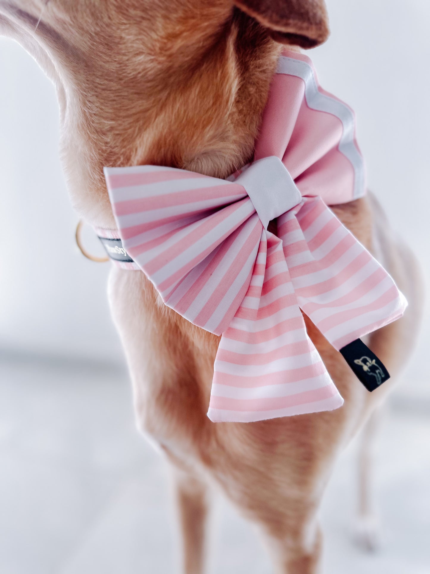 Navy Pink Lines Sailor Bow