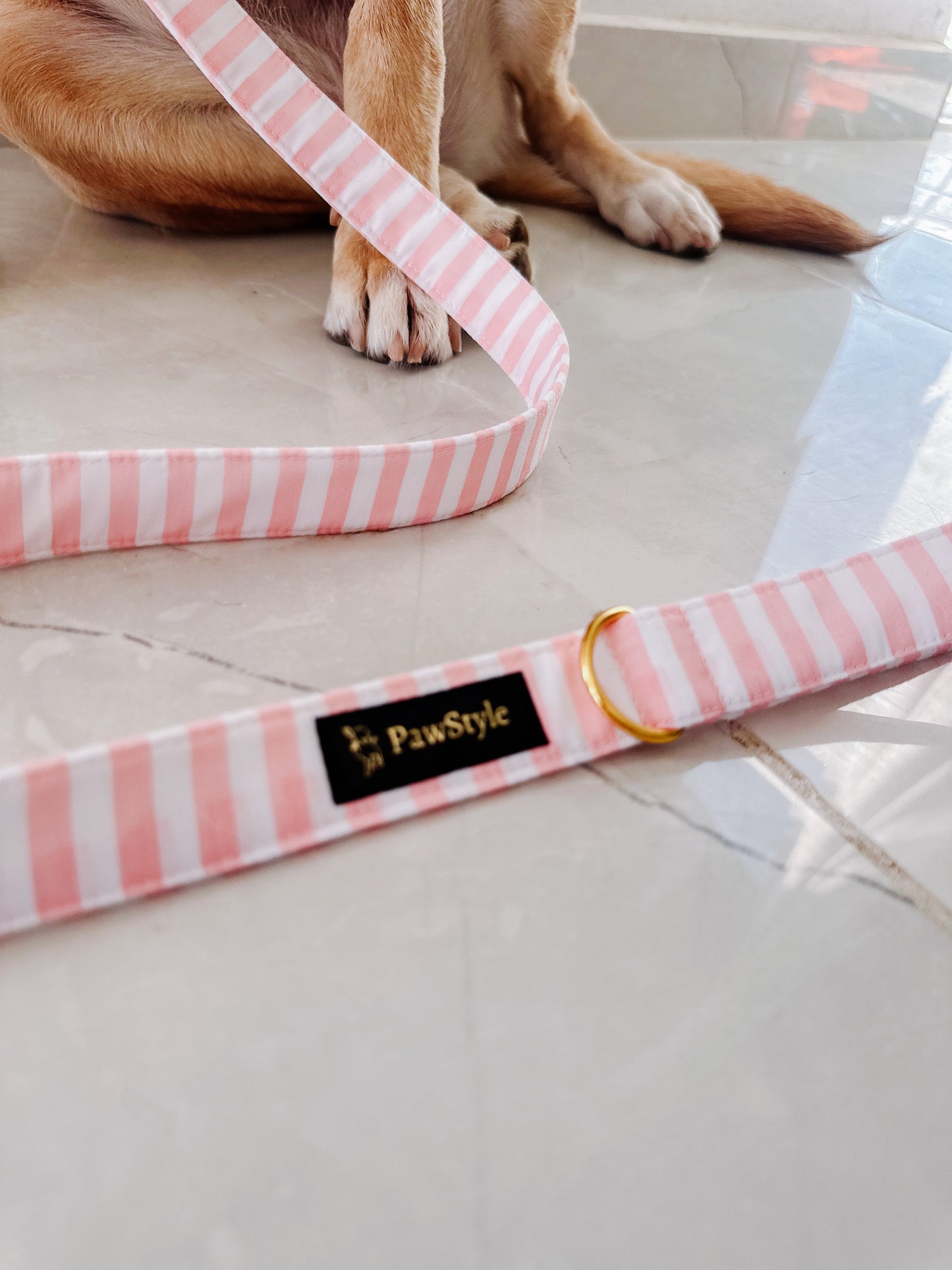 Navy Pink Line Leash