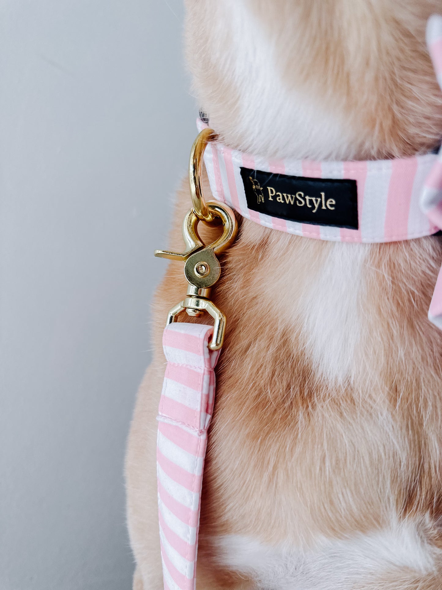 Navy Pink Line Leash