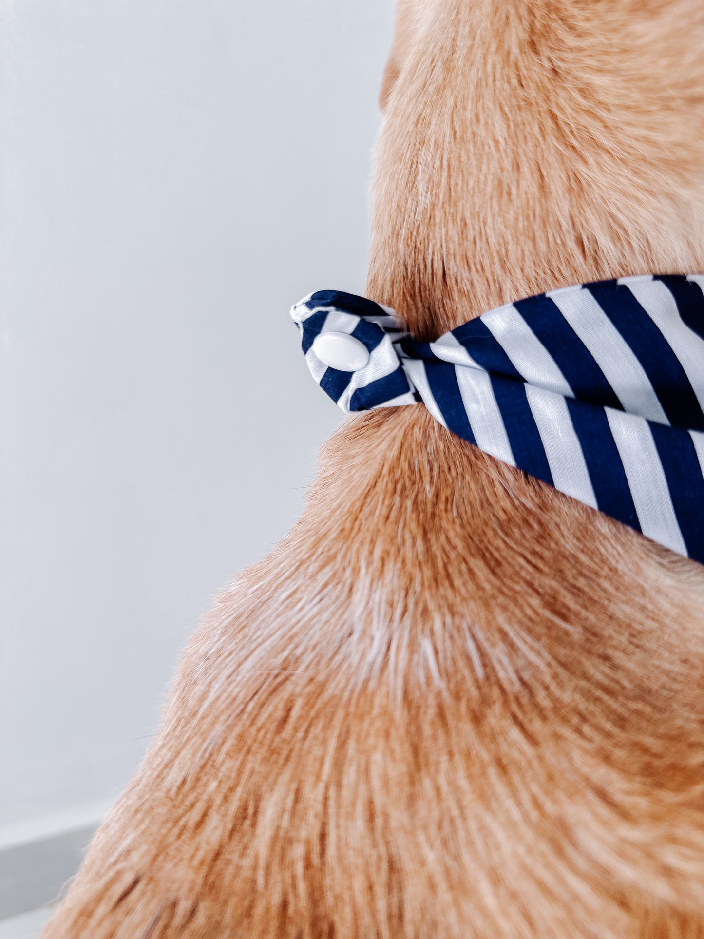 Navy Blue Lines Bandana