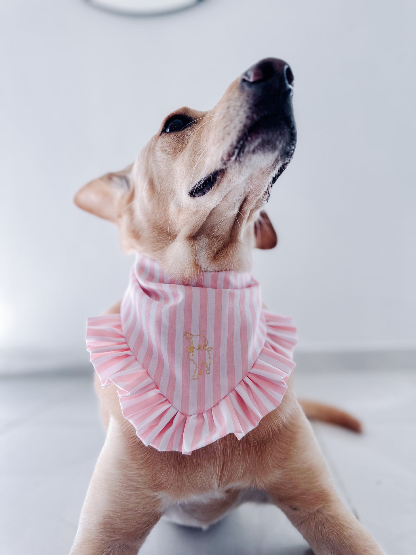 Navy Pink Lines Bandana