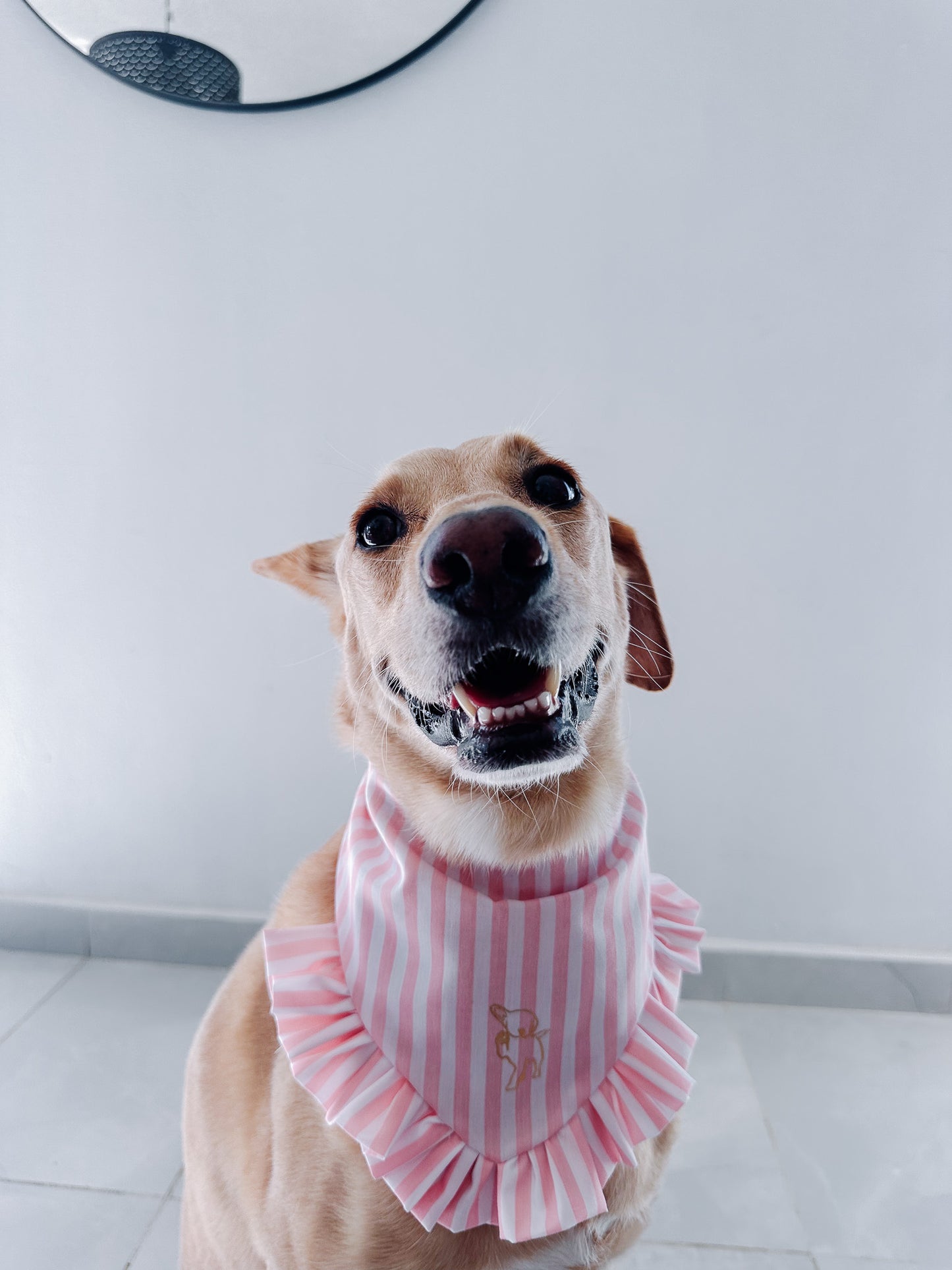 Navy Pink Lines Bandana