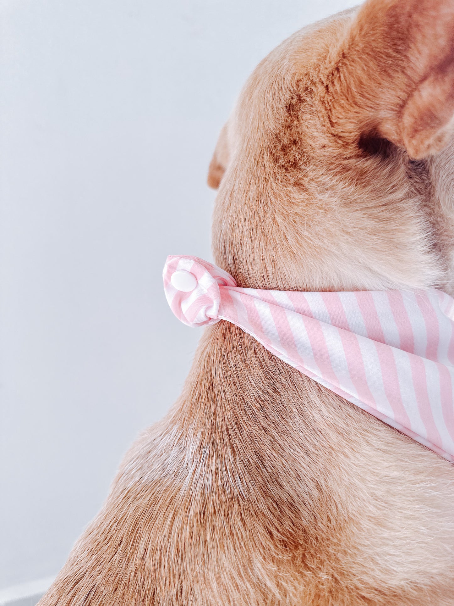 Navy Pink Lines Bandana