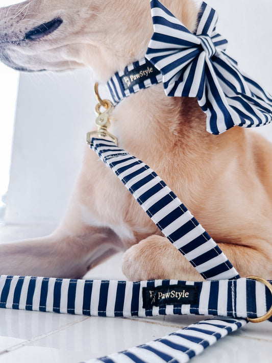 Navy Lines Leash