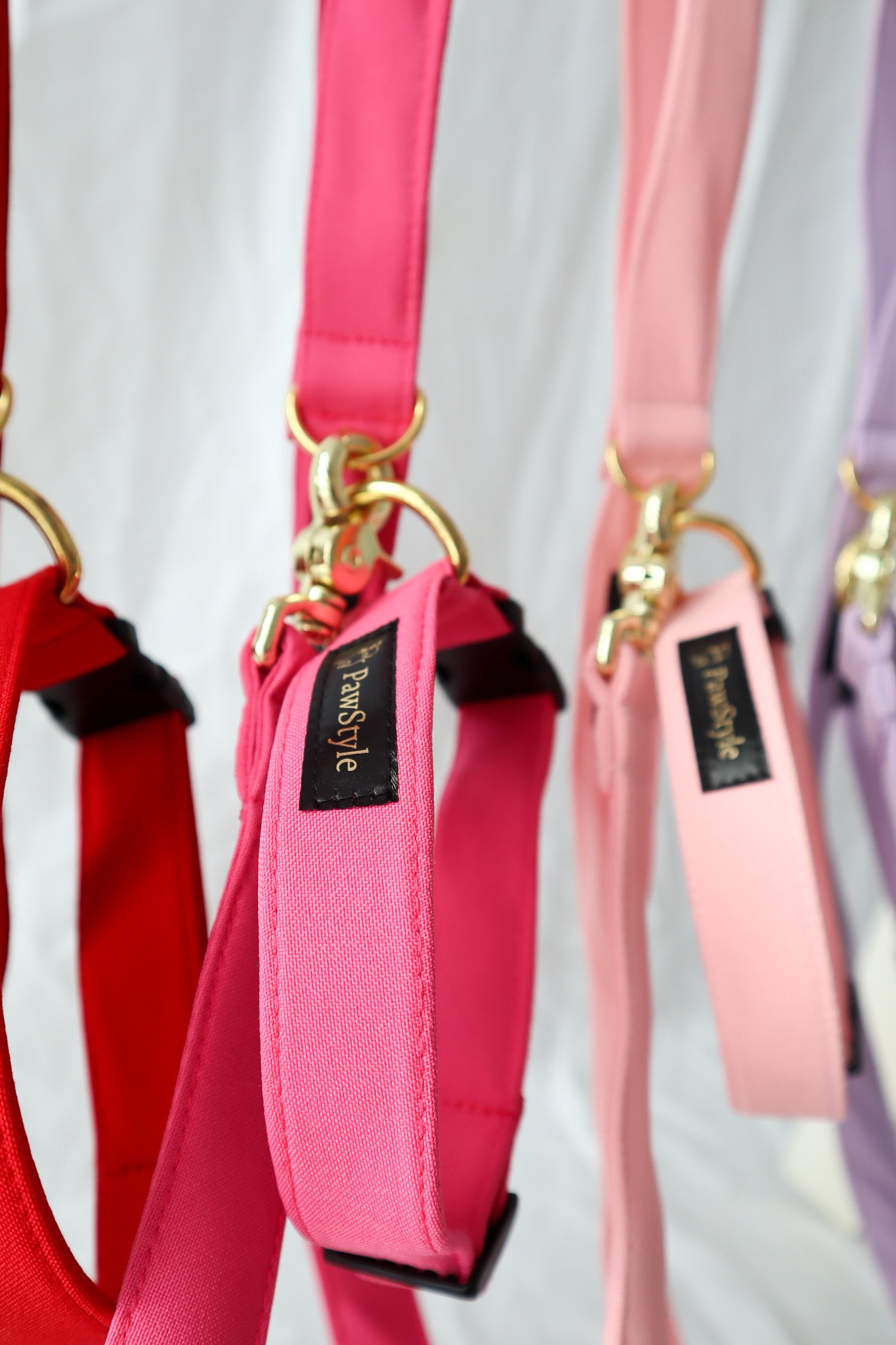 Fuchsia Leash