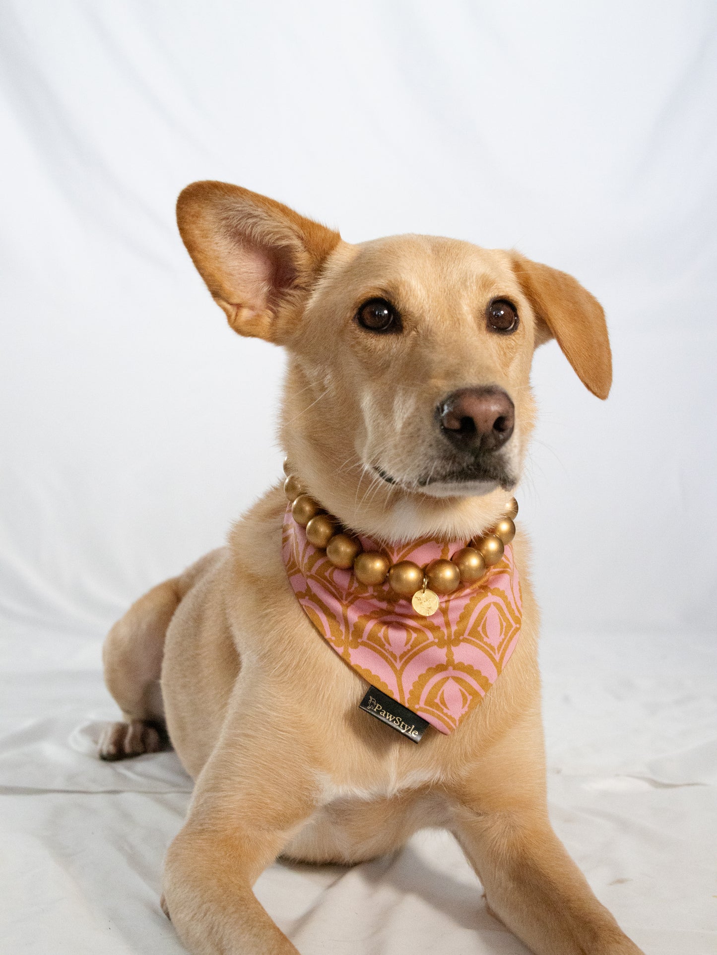 Eloise Bandana