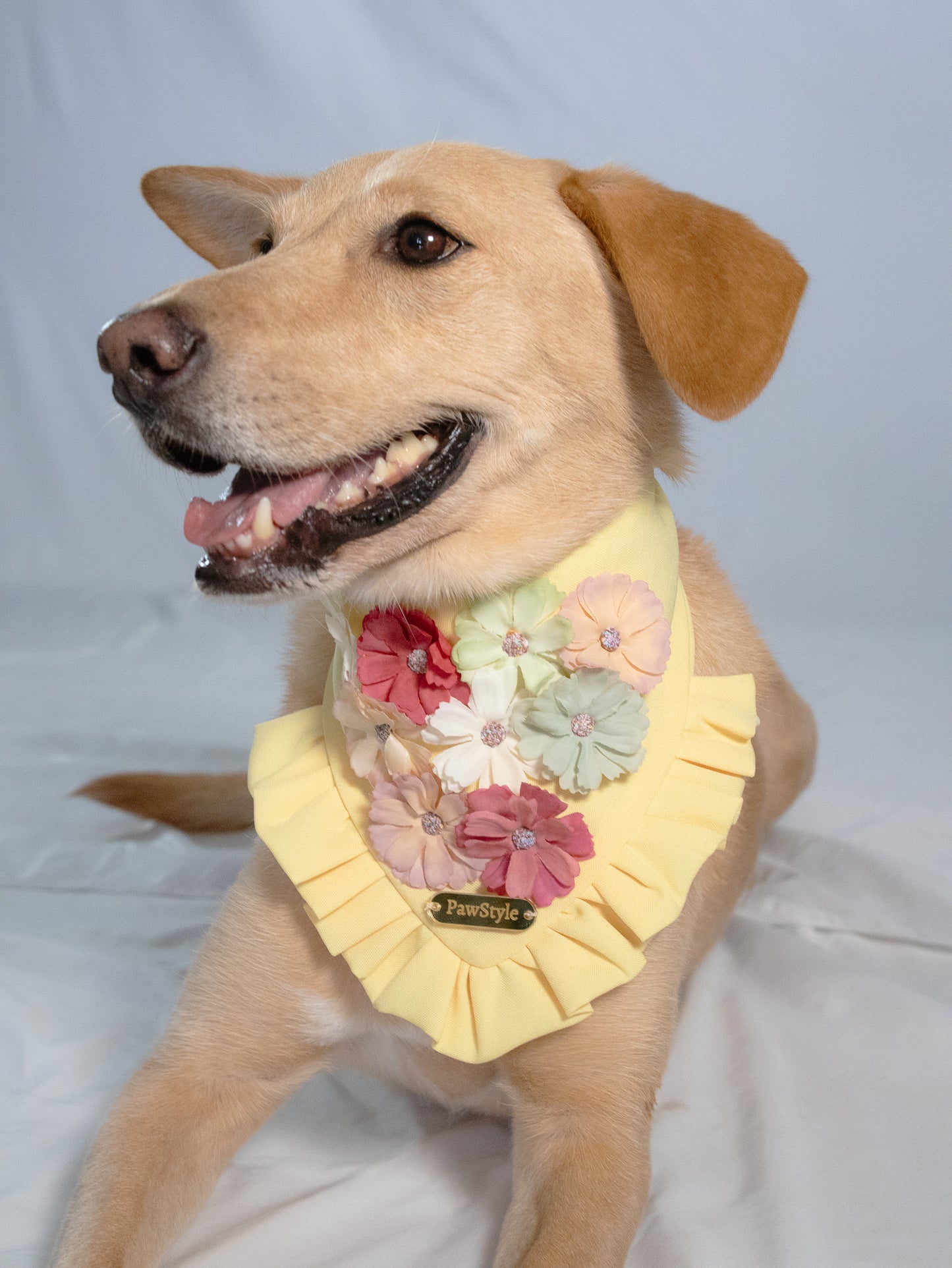 Flower Power Bandana