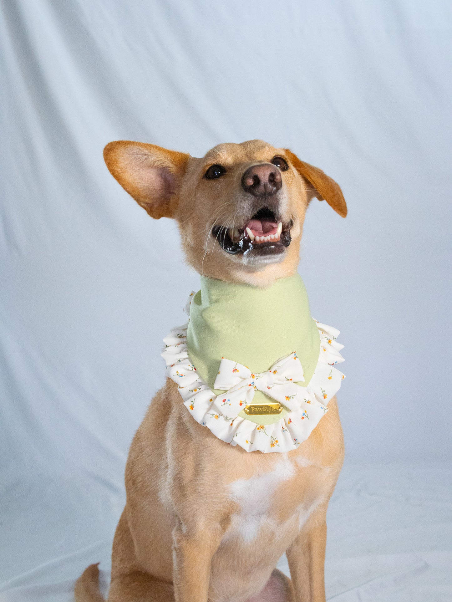 Hyacinth Bandana