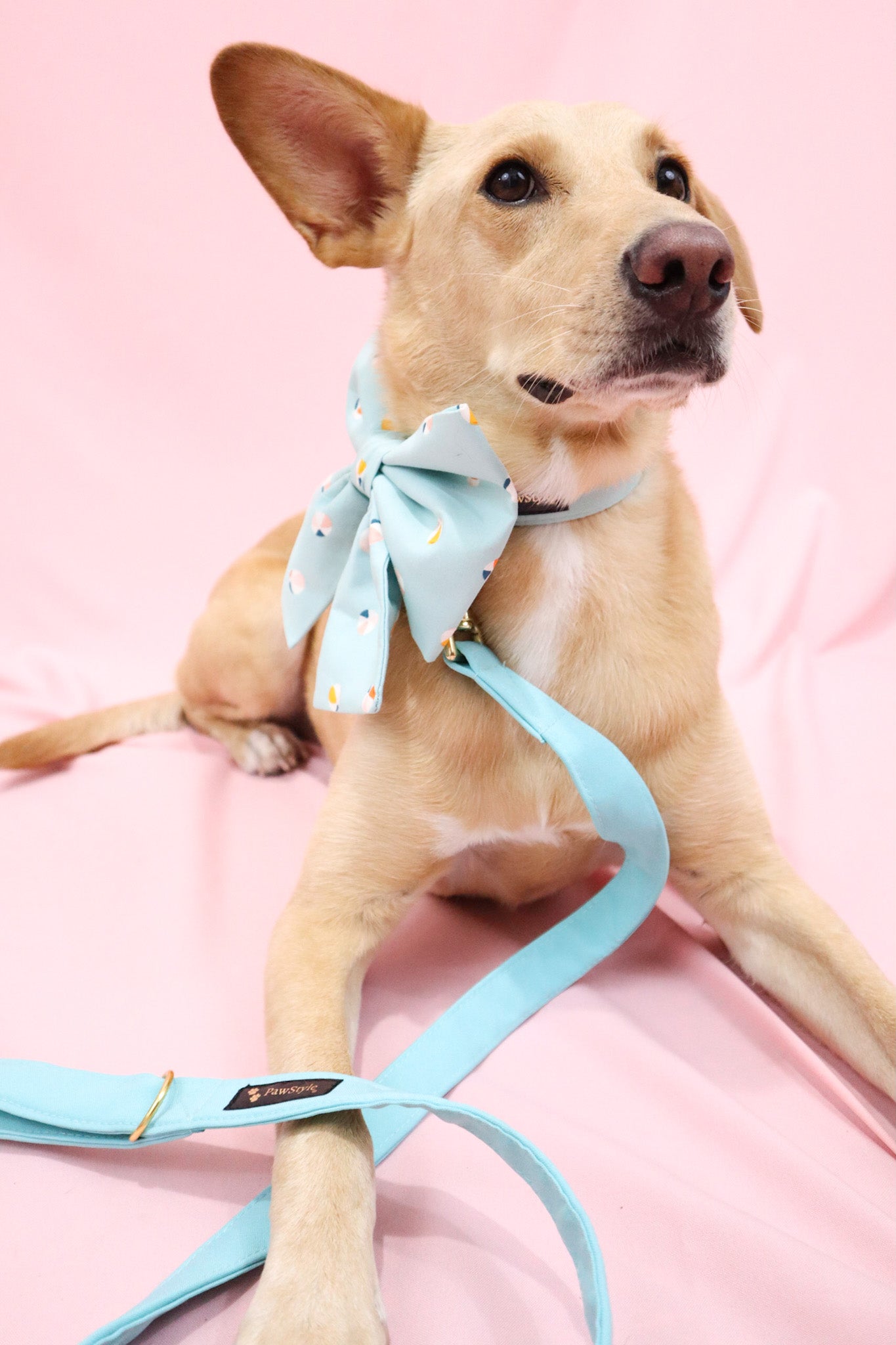 Mint Blue Leash