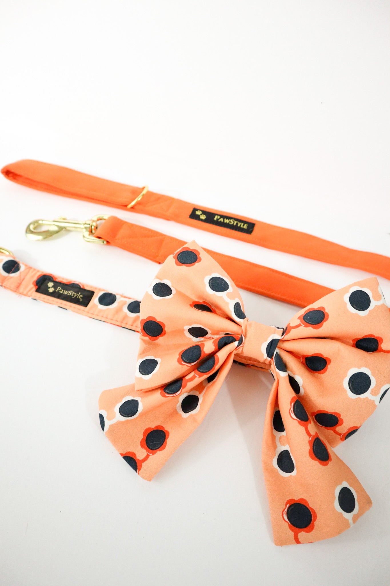 Orange Leash