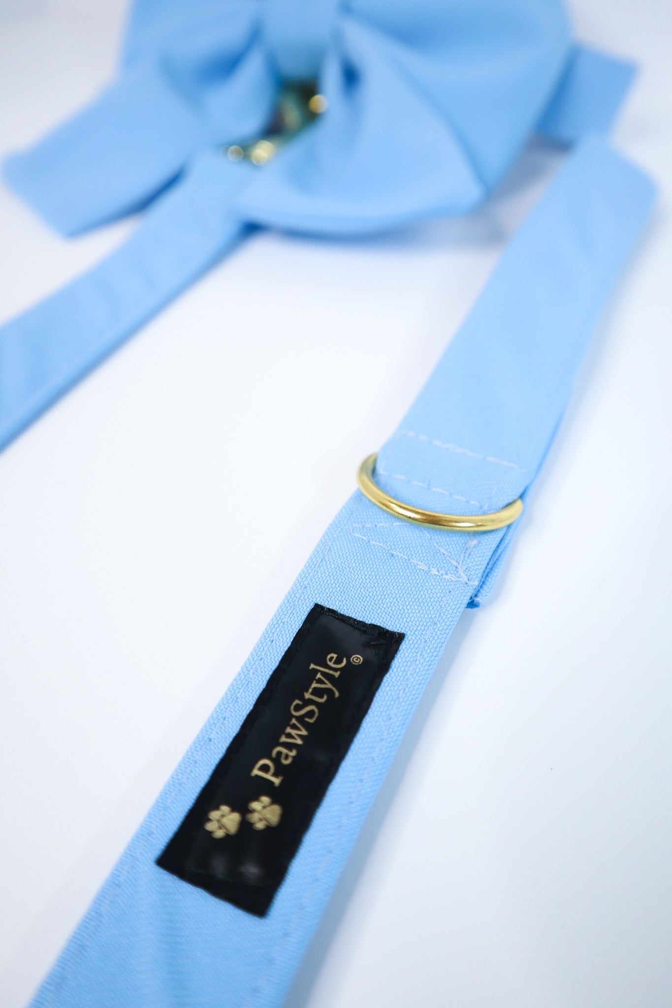 Baby Blue Leash