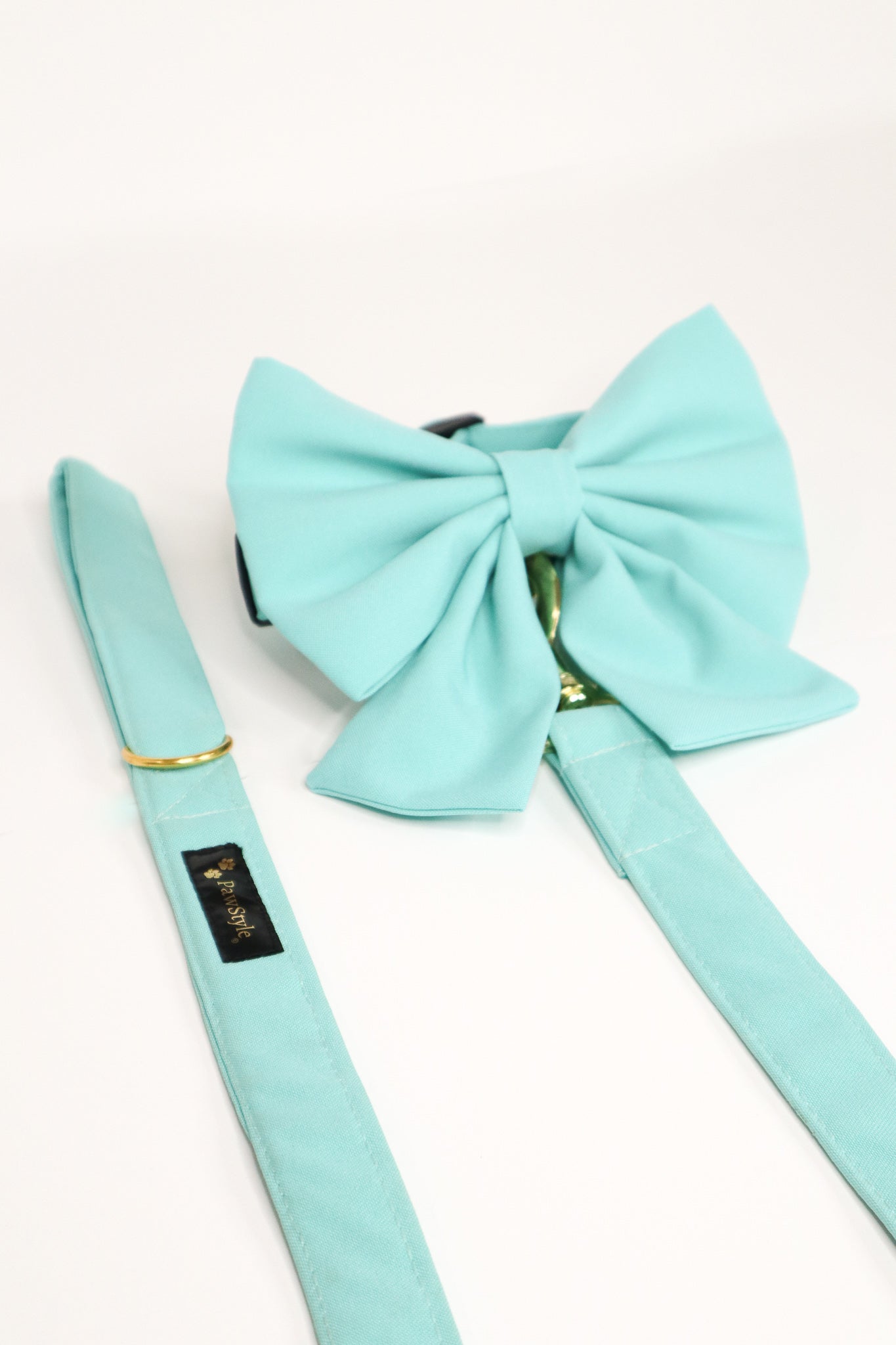 Mint Blue Leash