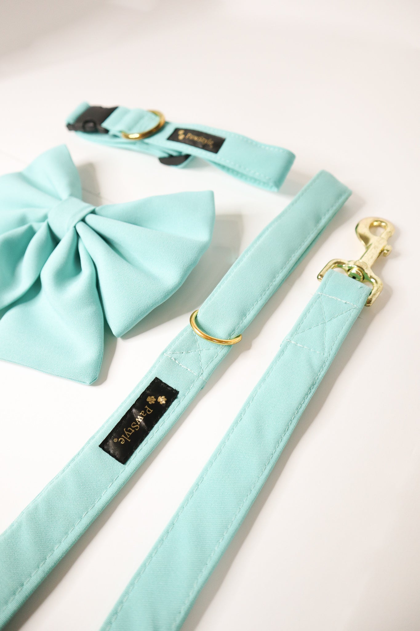 Mint Blue Leash