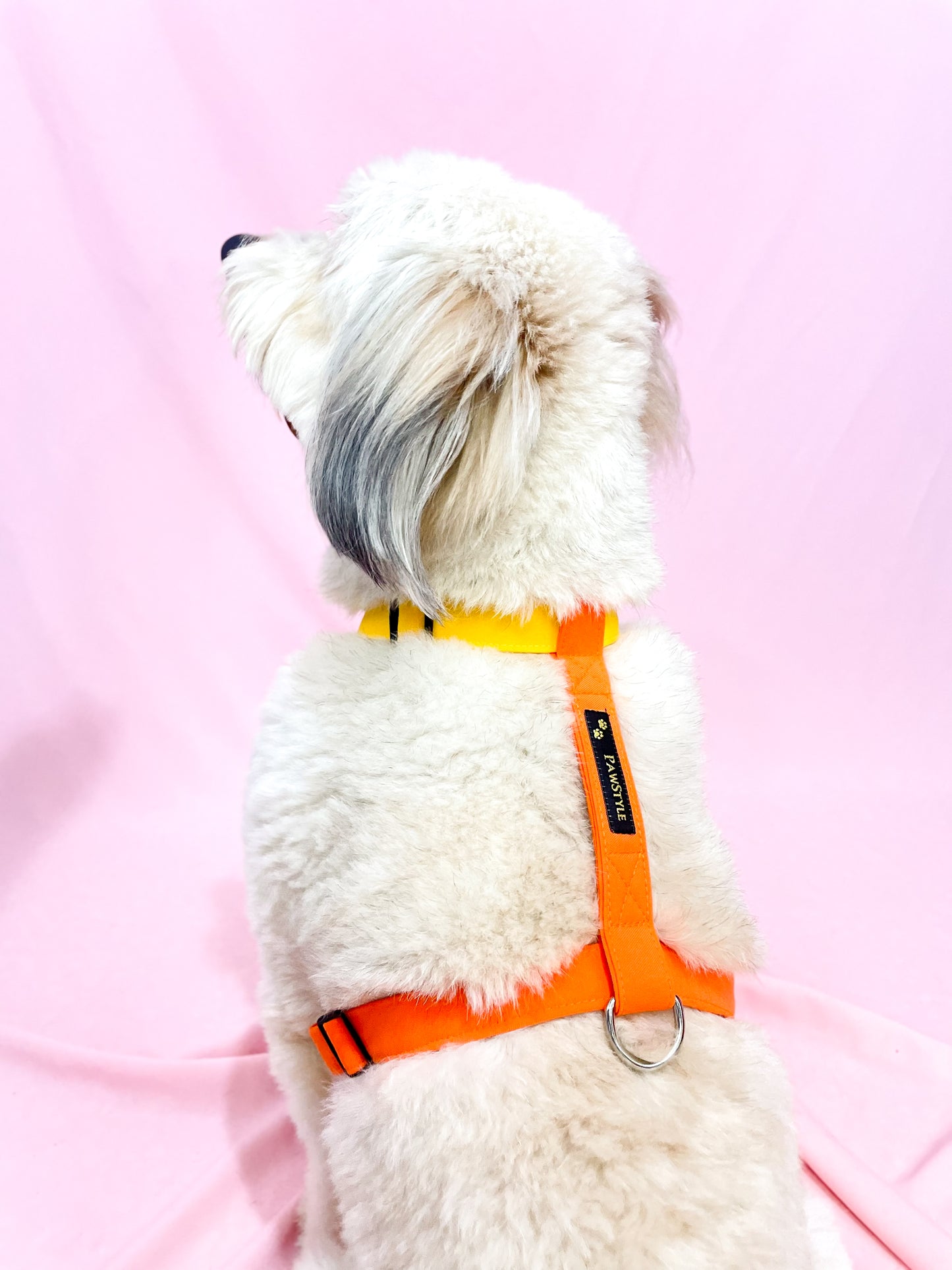 Orange Harness