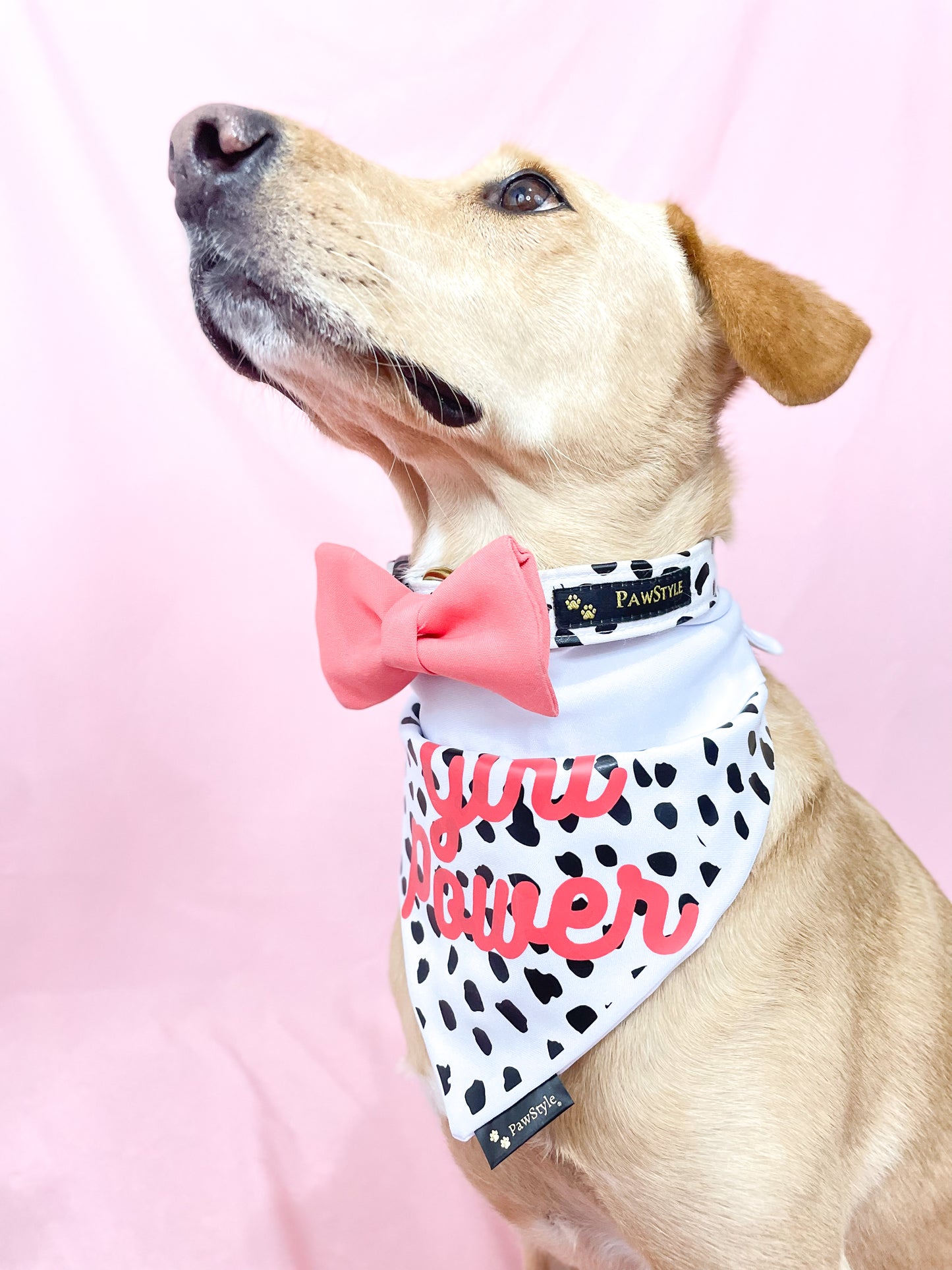 Coral Bow Tie