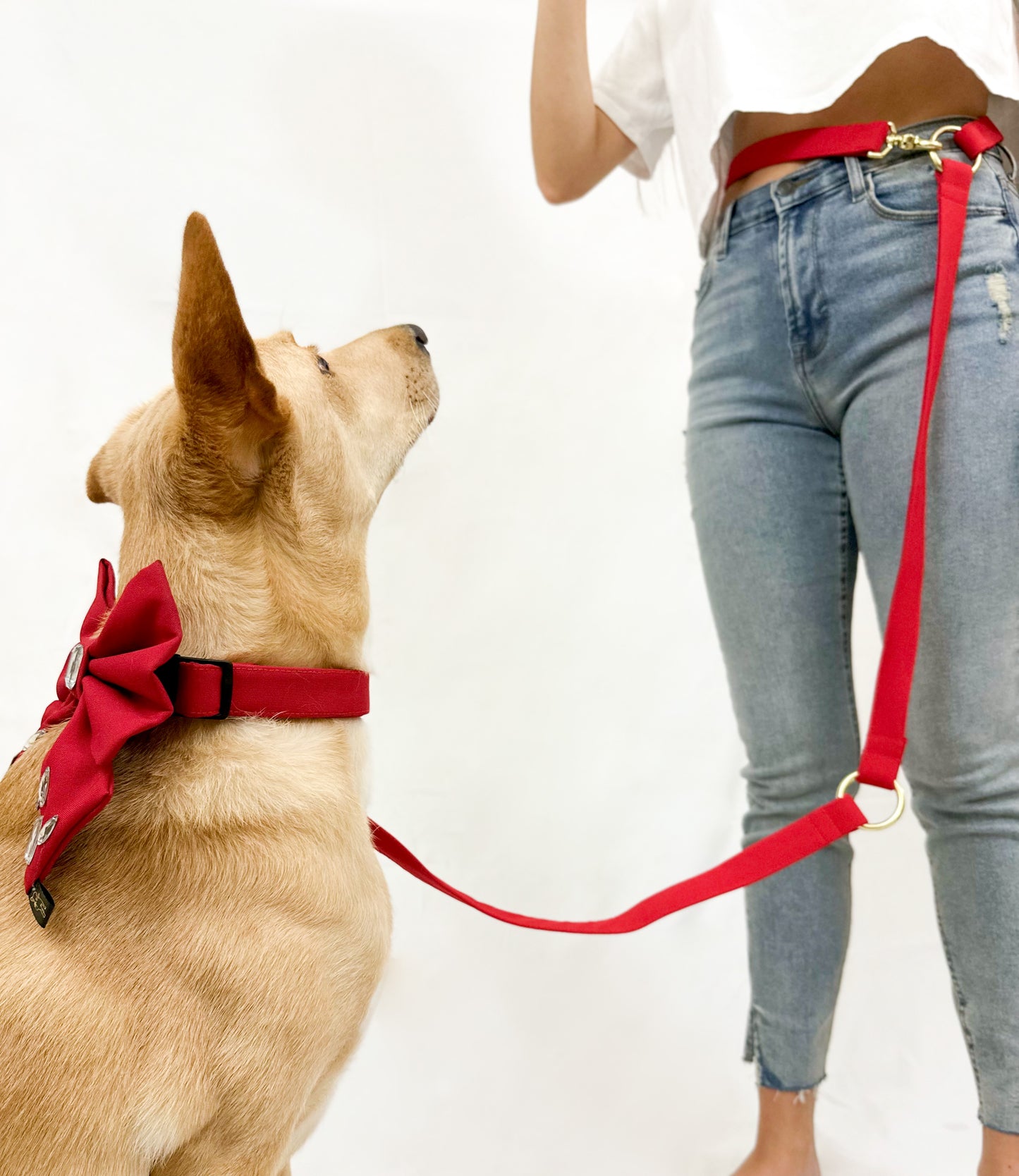 Hands Free Leash